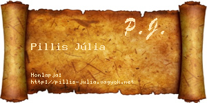 Pillis Júlia névjegykártya